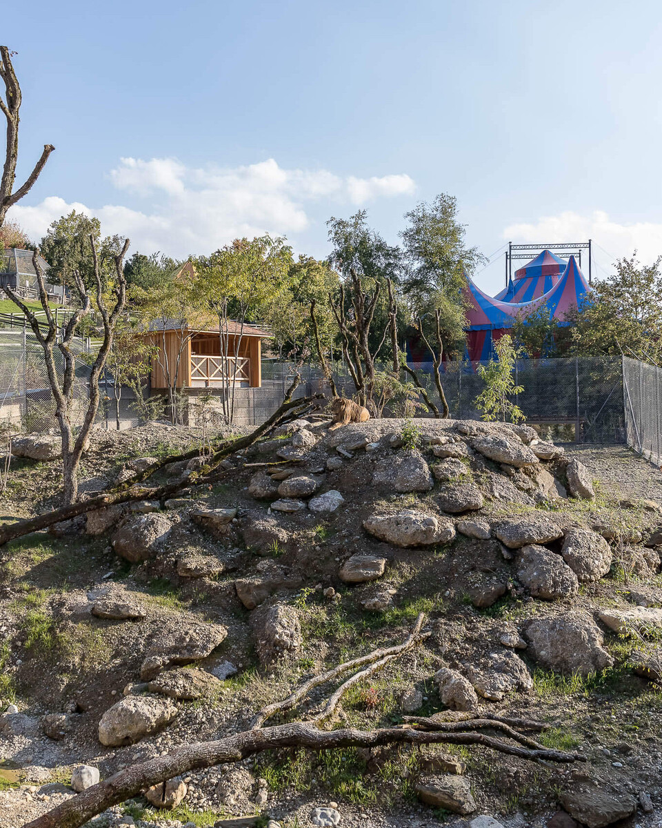 Löwenanlage Zooareal