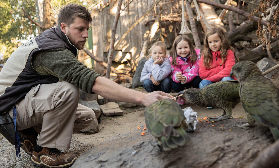 Rendez-vous mit dem Lieblingstier Zooareal