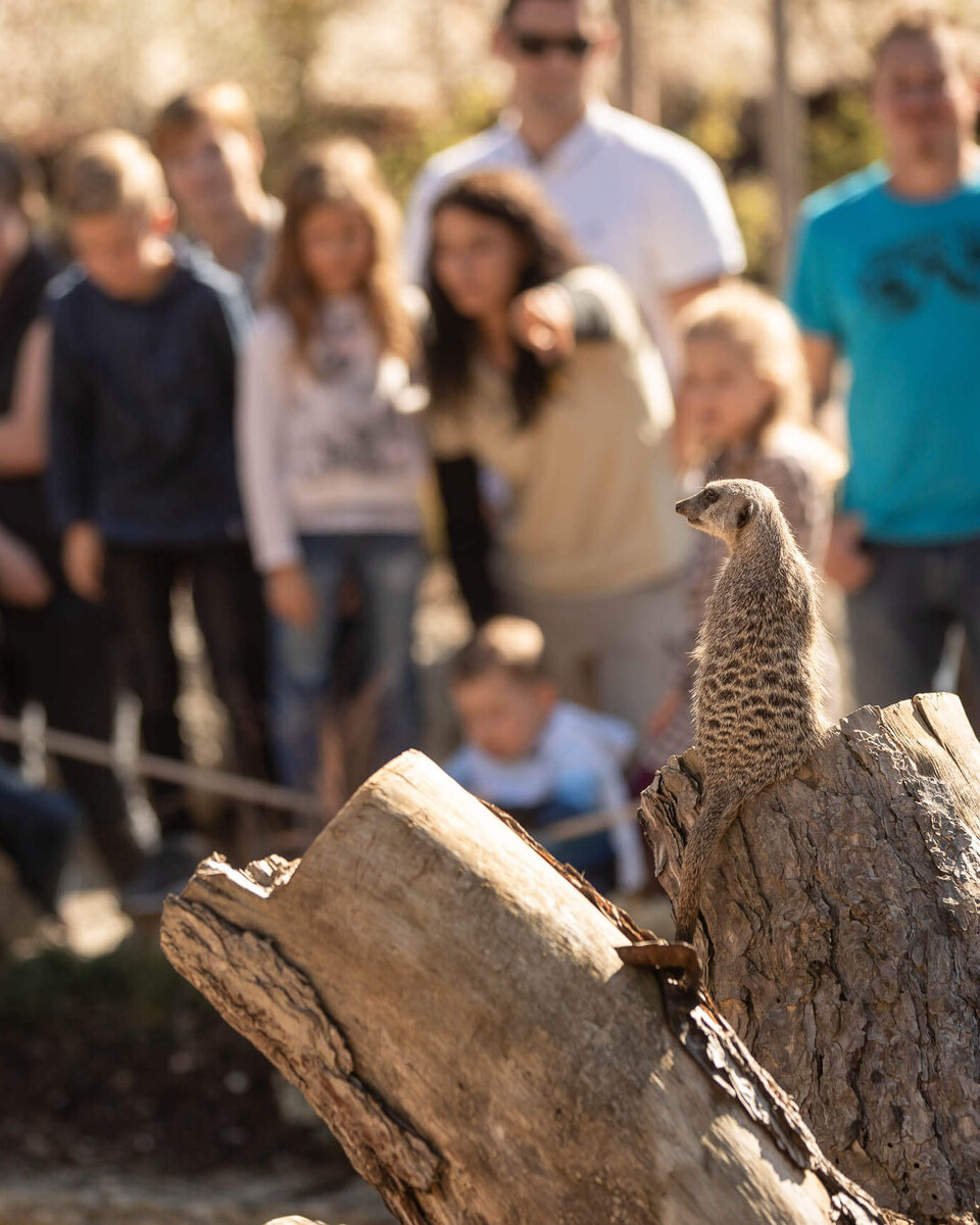 Zooführung Zooareal
